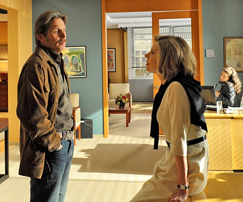 Diane Lockhart and Kurt McVeigh - The Good Wife