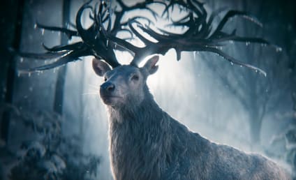 Netflix's Shadow and Bone to Launch in April - Watch the First Teaser!