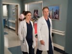 Partnering Up Again - Grey's Anatomy Season 14 Episode 18