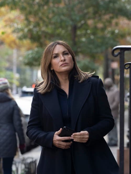 Benson Takes Charge - Law & Order: SVU Season 20 Episode 12