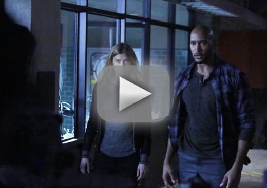 Agents of shield putlocker new arrivals