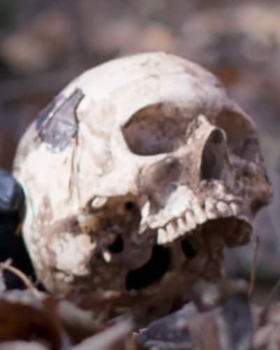 Oxygen True Crime Archive Skull Screenshot